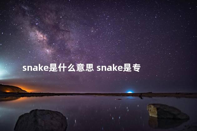 snake是什么意思 snake是专有名词吗